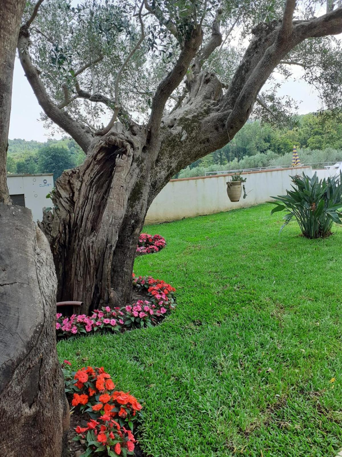 Bel Tempio Konuk evi San Giovanni a Piro Dış mekan fotoğraf